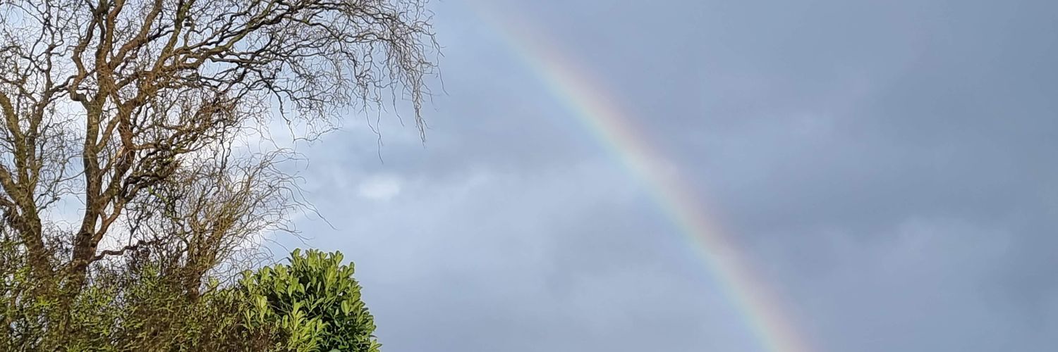 lauraw2204's profile banner image
