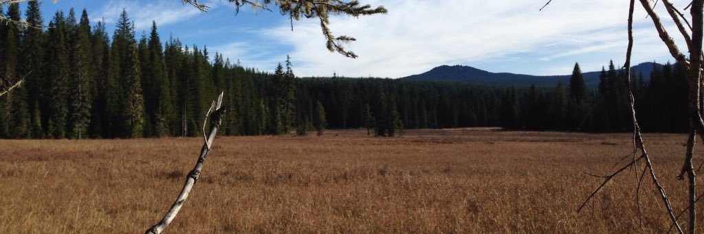JohnRothT's profile banner image