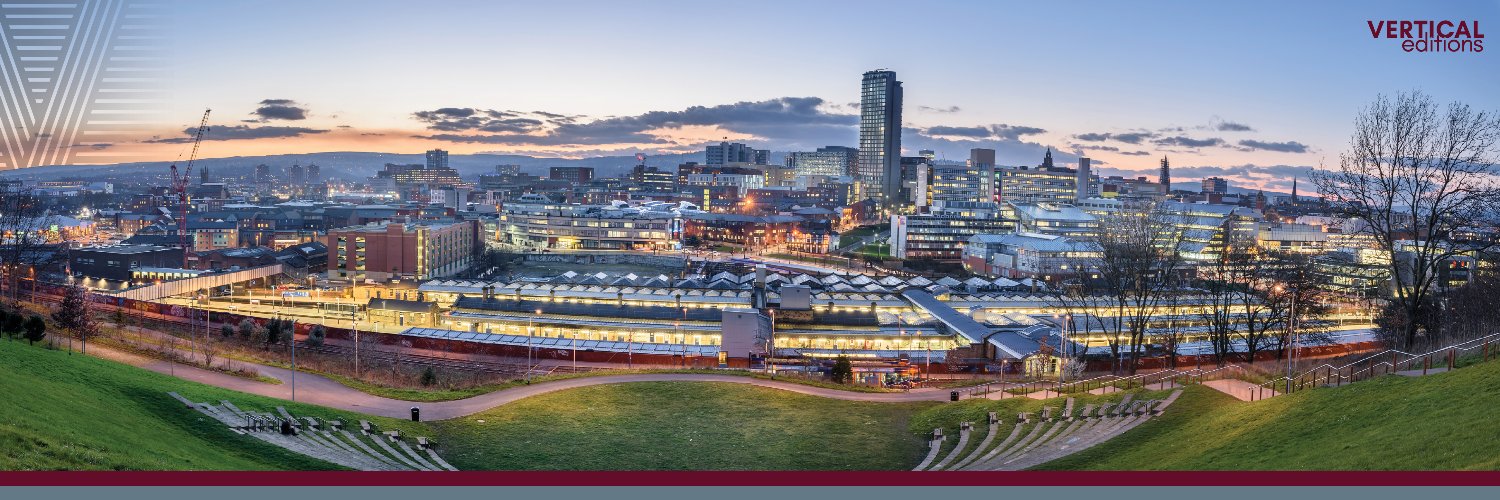 Vertical Editions Books 📚📖 banner