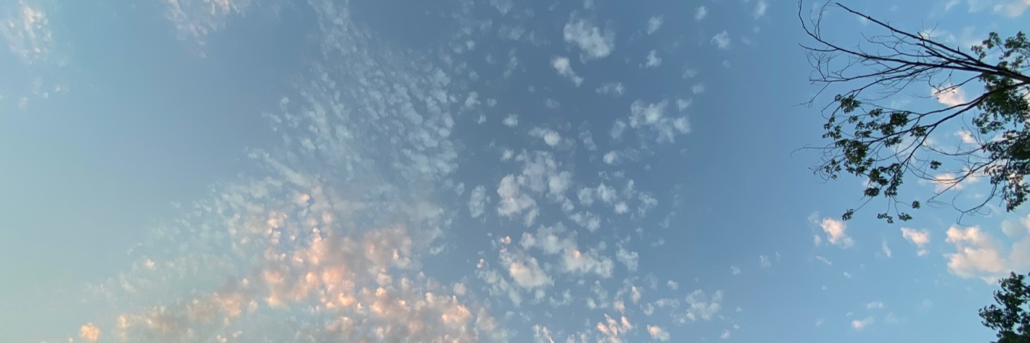 Mallorgay's profile banner image
