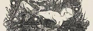 lajevnm's profile banner image