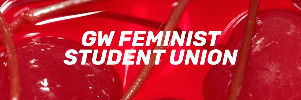 GW FSU banner
