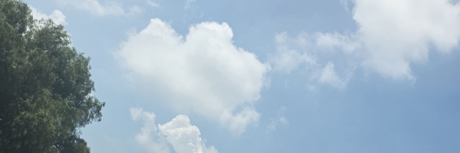 Trinker_'s profile banner image