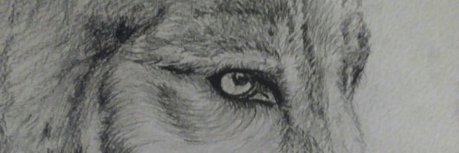 Inaskiii's profile banner image
