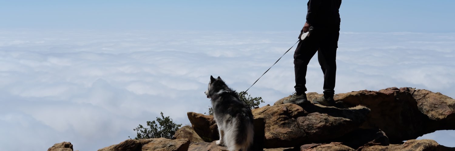 👁️⃤ markpro banner