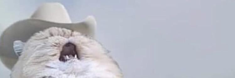 gingerbreadchan's profile banner image