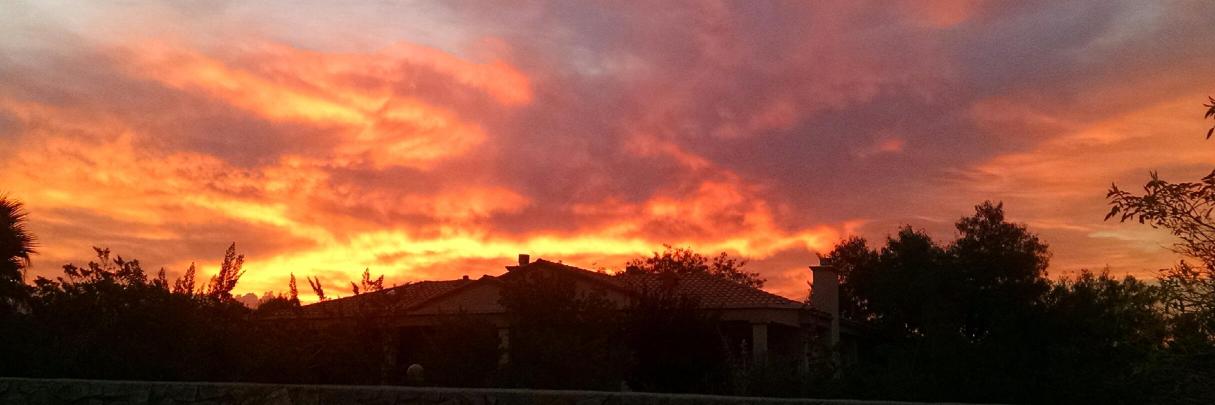 Eddie Morelos banner