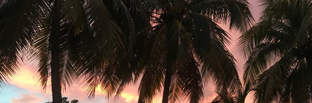 rachmarieec's profile banner image