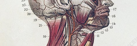 tessop_'s profile banner image