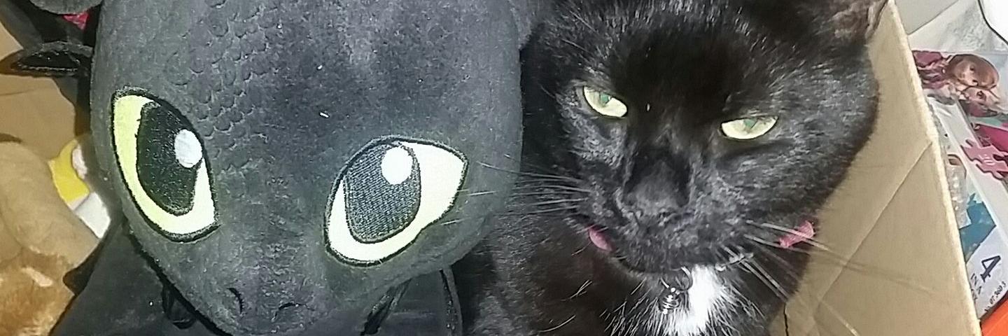 Kat the cat sitter (she/her)💜🌈 banner