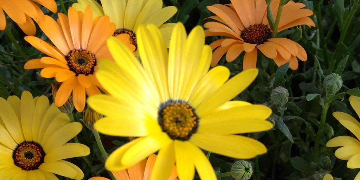 426006480's profile banner image
