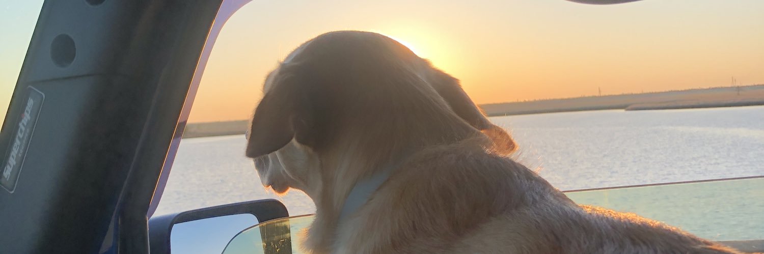 la_la_lo_'s profile banner image