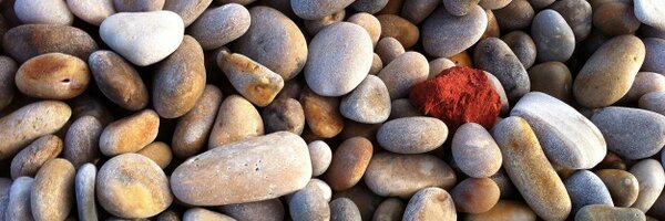 timtwit Profile Banner