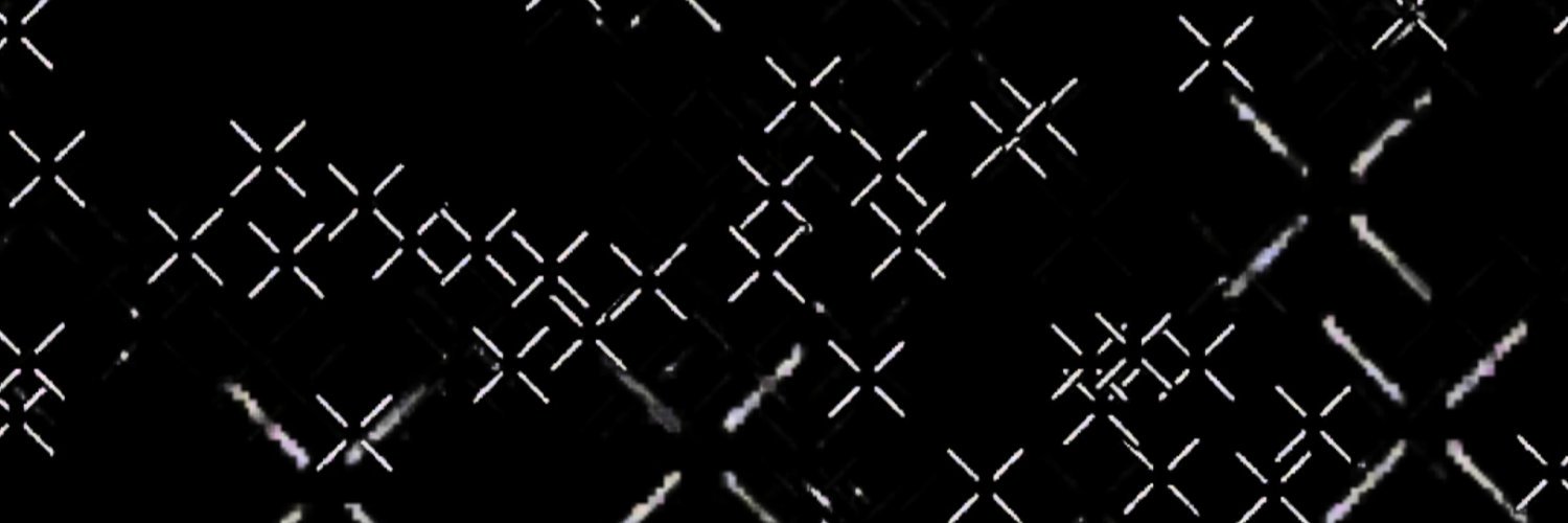 DNLSST's profile banner image