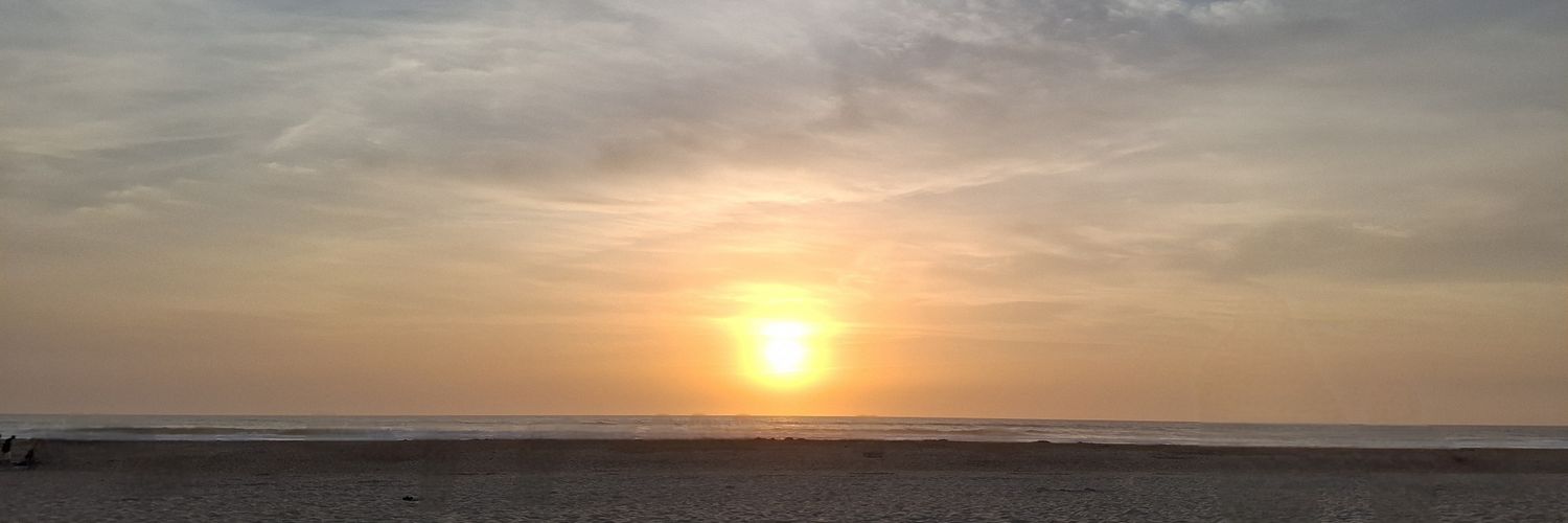 bxst_snv's profile banner image