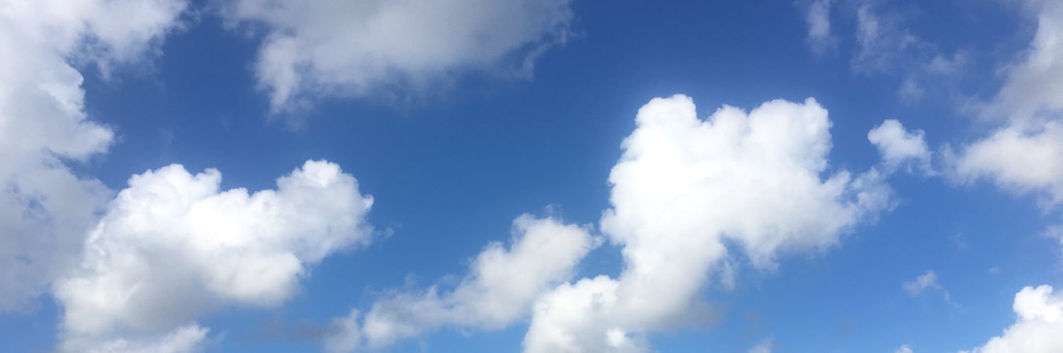 Miss Herrington banner