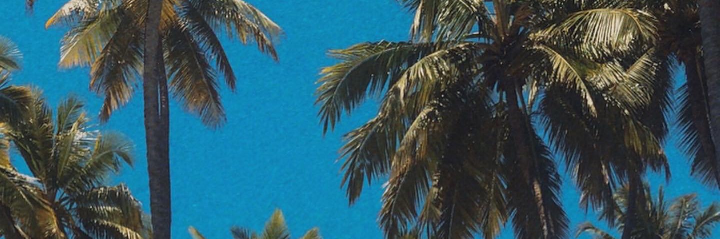 CarolinaHatwig's profile banner image