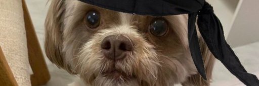 zlem banner