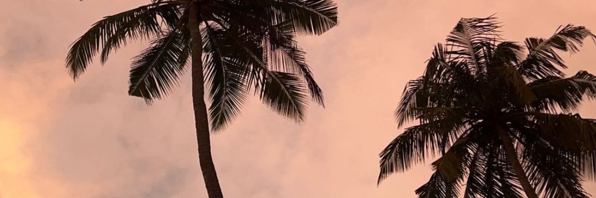 annanderlust's profile banner image