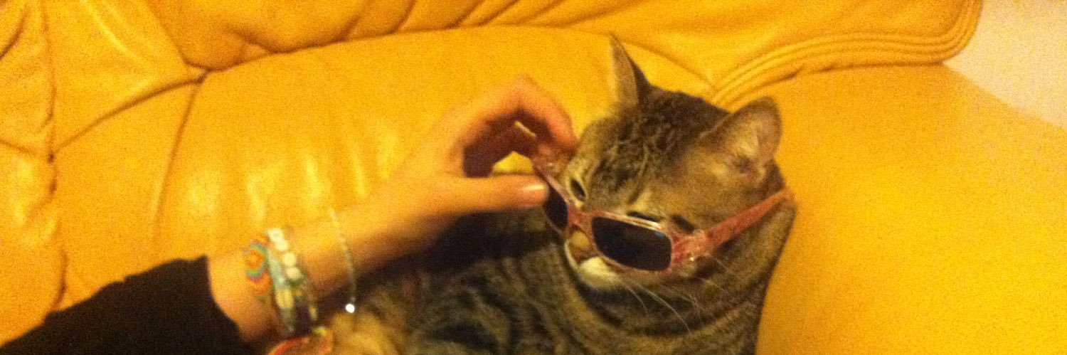 Ǥλẕ乙ψ 🌹⚔️🥋⚽️🥊 banner