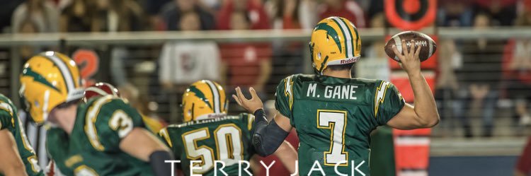 Matt Gane's banner