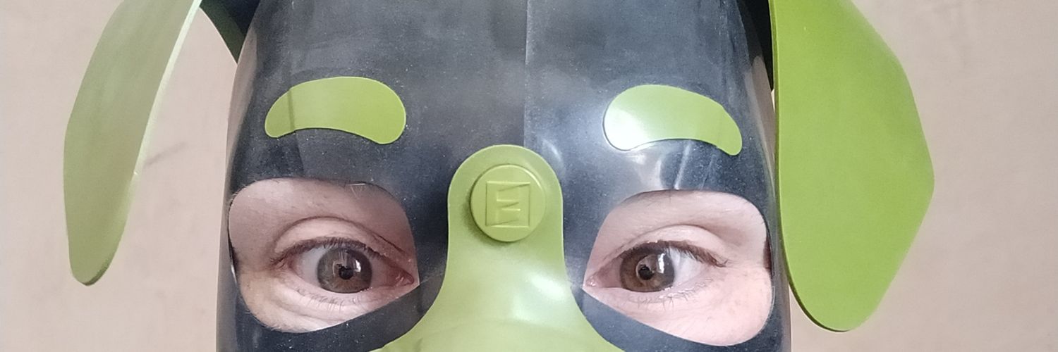 Pup Squishy banner