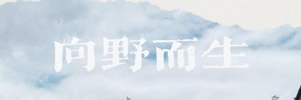 向野而生 banner
