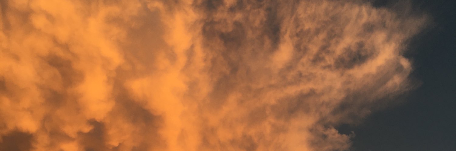 Jenn_Akin's profile banner image