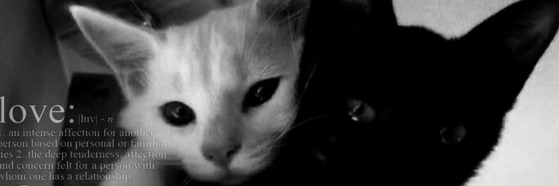 gaprage's profile banner image