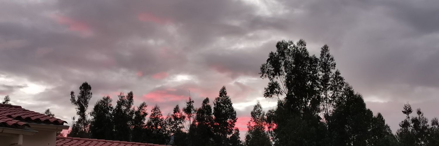 adria_leon20's profile banner image