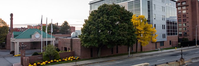 MCPHS - Physical Therapy banner