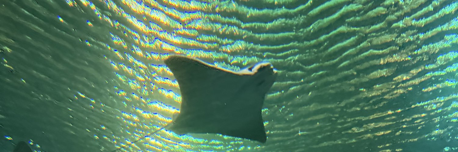 Ben banner