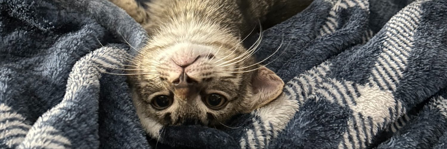 merryurr's profile banner image