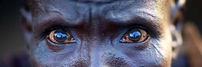 MedeSteeve's profile banner image
