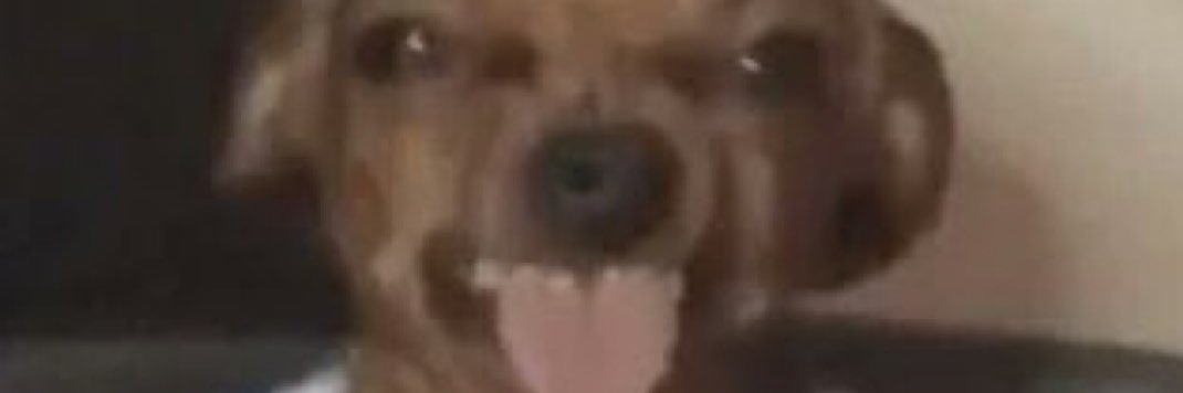 asappabl0c's profile banner image