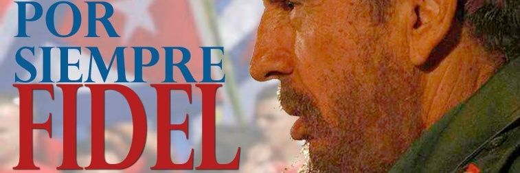 Liuba Buil Pelegrín ✊🏼🇵🇸💔🕊 banner