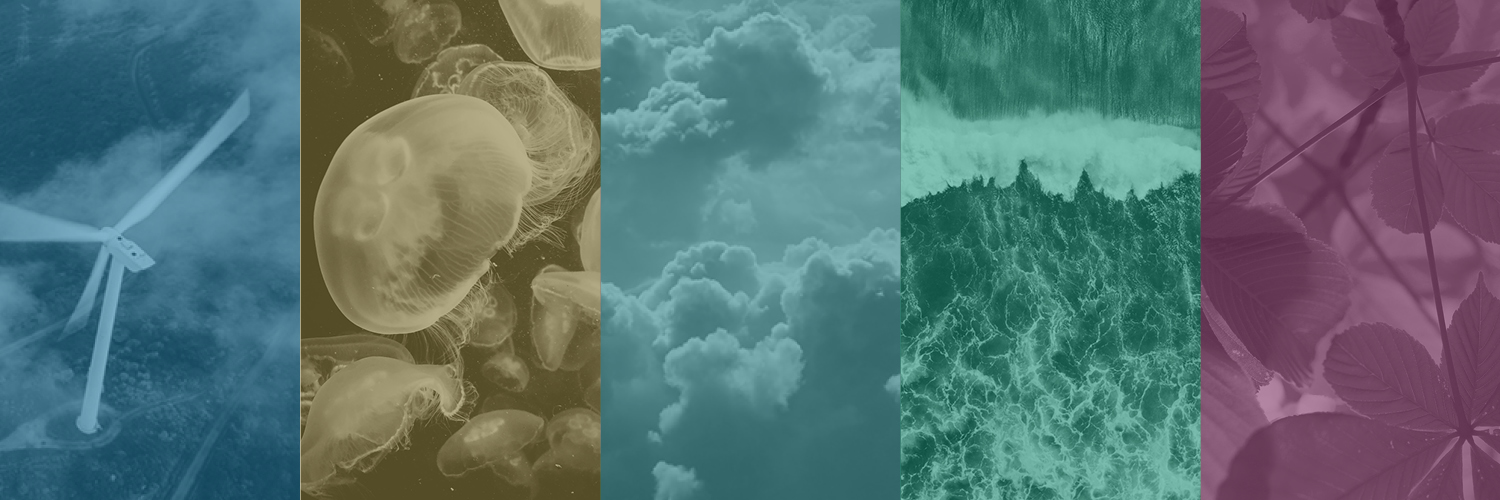 Harvard University Center for the Environment banner