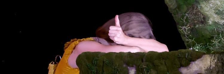 swxftsparkle's profile banner image