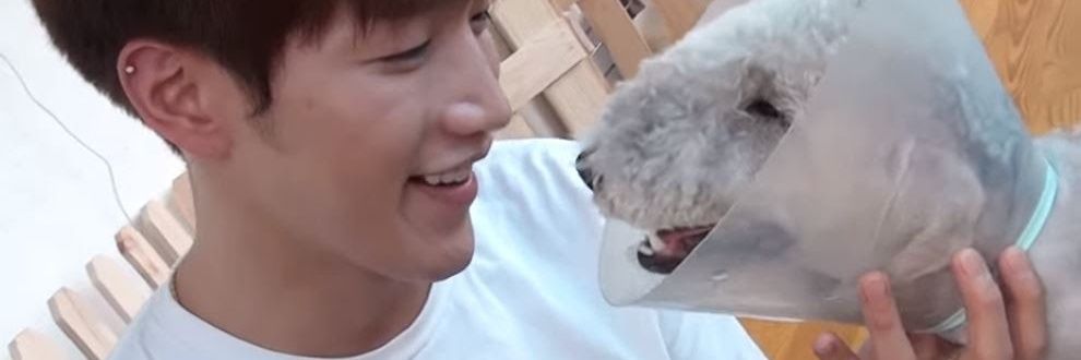 makiko마키코_panchan0115 banner