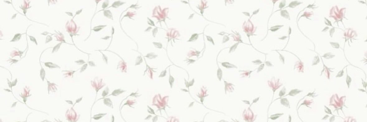 nachachuchu's profile banner image