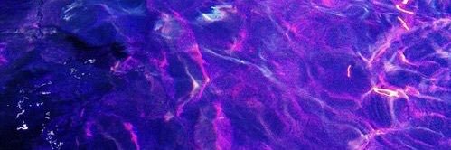 gekkospeed banner