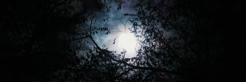 GhostFace_2019's profile banner image