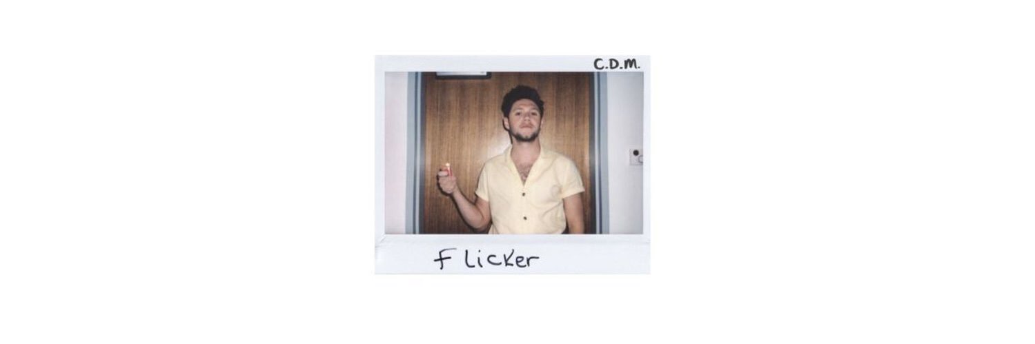 shinyxnarry's profile banner image