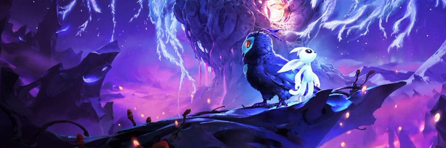 EmperorEchoFox's profile banner image