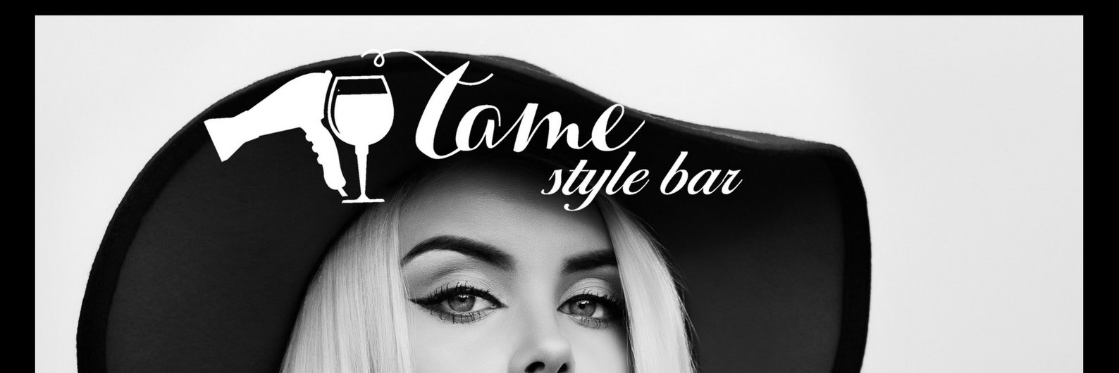 TameStyleBar's profile banner image