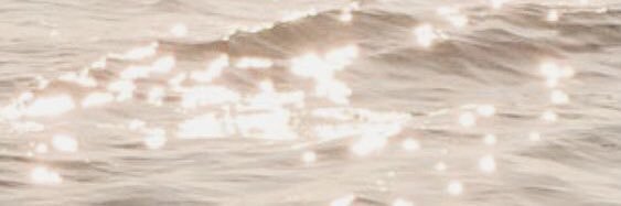 maceyfetz's profile banner image
