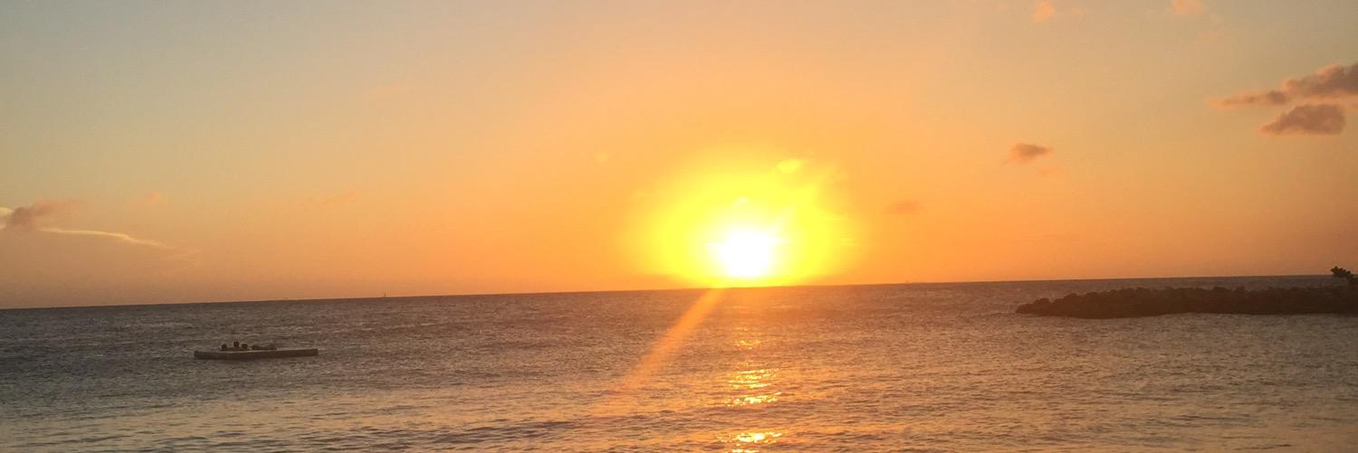 Matthijs Groot banner