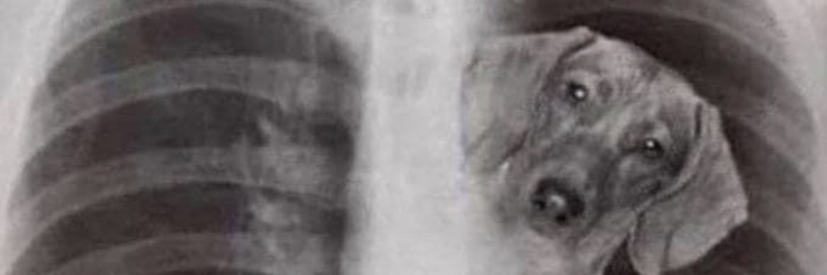 Thunderchick014's profile banner image