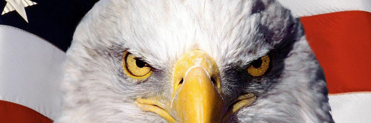 barrett_wise's profile banner image