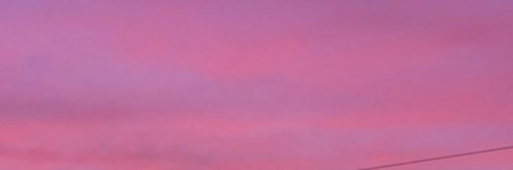 nextsabela's profile banner image